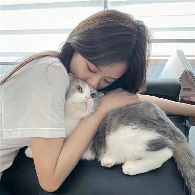丛林有情狼